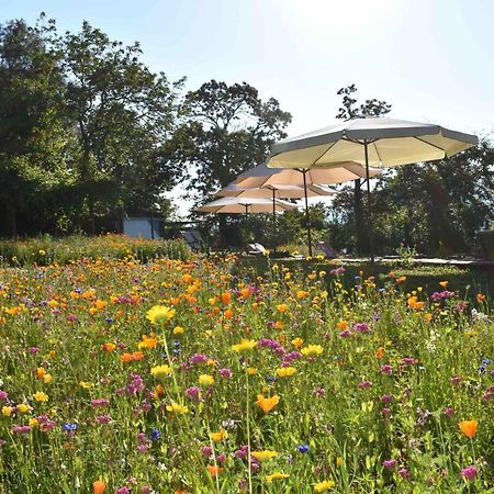 Drop-Inn Nature, Relax And Hike Ponte da Barca Exterior photo